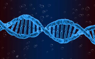 SBI3U – Grade 11 Biology